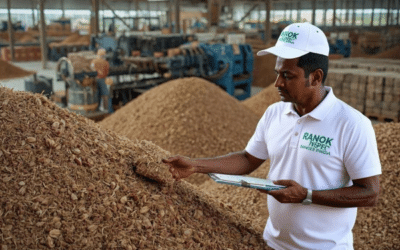 Coco Peat Blocks in Tamil Nadu: How Buyers Can Verify Quality Before Export